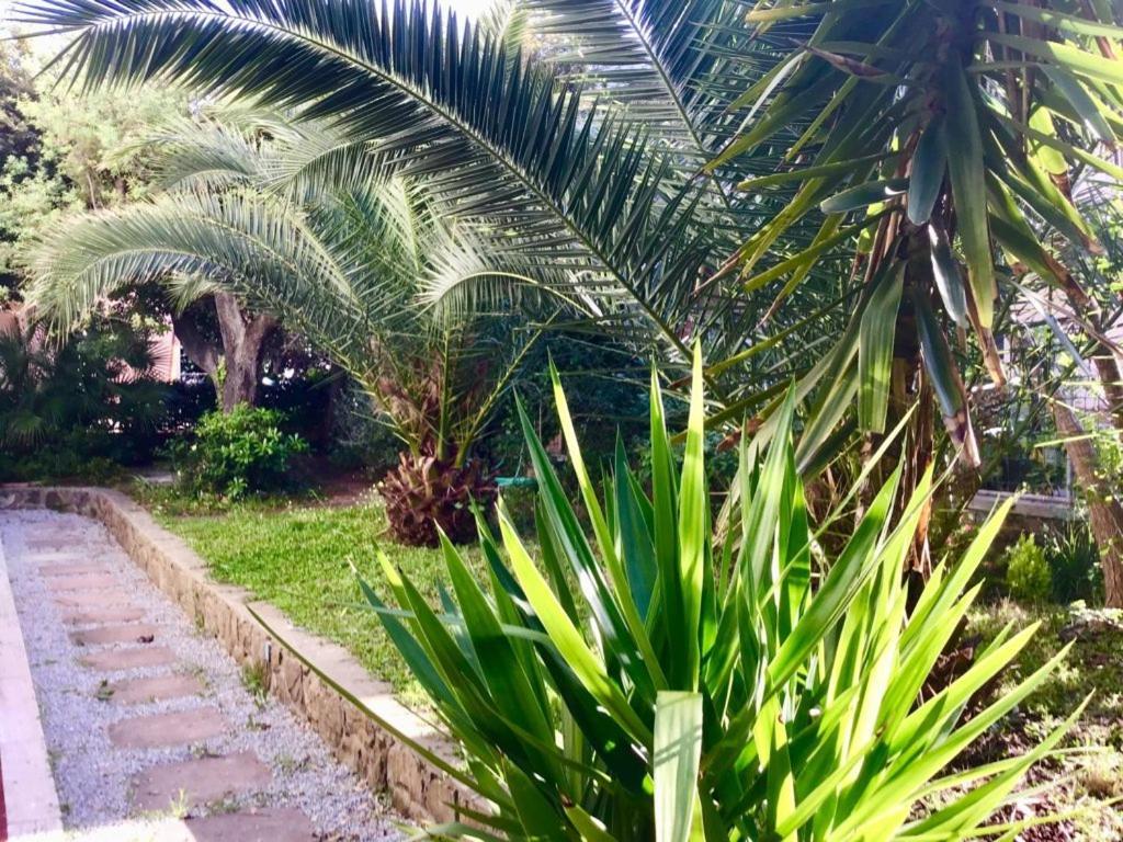 La Coccinella Residence San Vincenzo Ngoại thất bức ảnh
