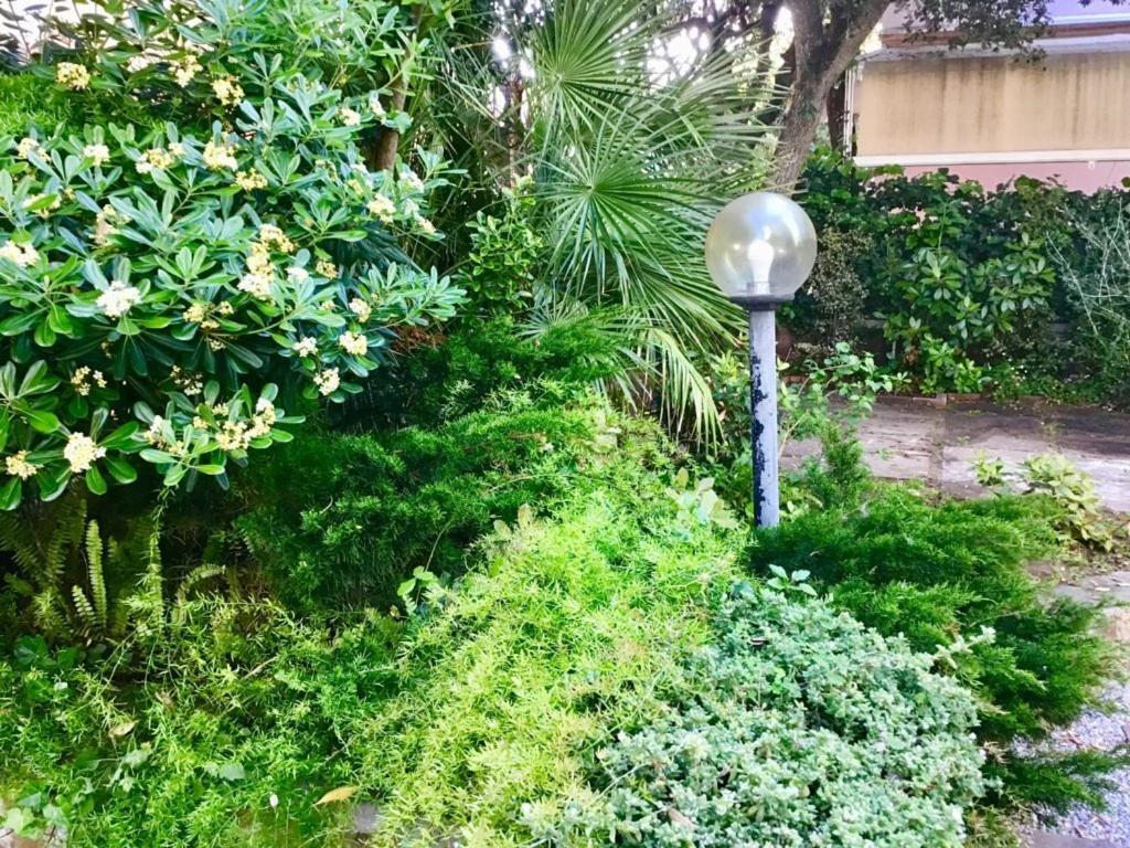 La Coccinella Residence San Vincenzo Ngoại thất bức ảnh